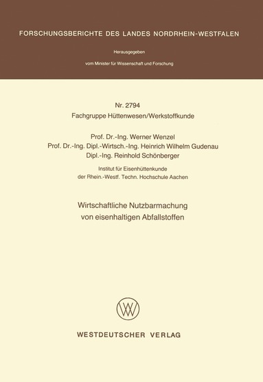 bokomslag Wirtschaftliche Nutzbarmachung von eisenhaltigen Abfallstoffen