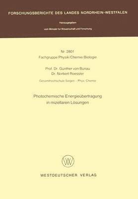 bokomslag Photochemische Energiebertragung in mizellaren Lsungen