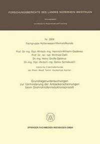 bokomslag Grundlagenuntersuchungen zur Verhinderung der Anbackerscheinungen beim Drehrohrofenreduktionsprozeß