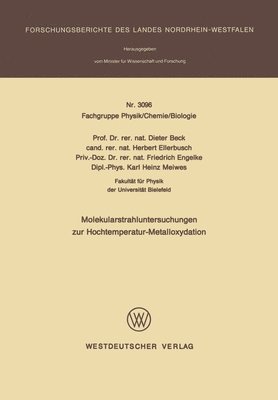 bokomslag Molekularstrahluntersuchungen zur Hochtemperatur- Metalloxydation