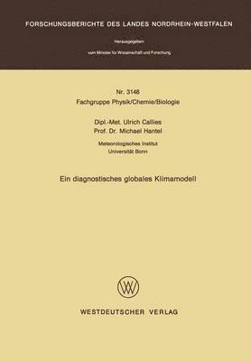 Ulrich Callies - Ein diagnostisches globales Klimamodell, Häftad