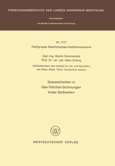 Martin Sommerfeld - Grenzschichten in Gas-Teilchen-Strömungen hinter Stoßwellen, Häftad