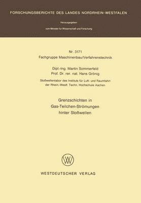 bokomslag Grenzschichten in Gas-Teilchen-Strmungen hinter Stowellen