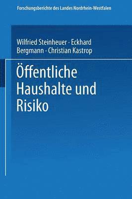 Eckhard Bergmann, Christian Kastrop, Wilfried Steinheuer - Öffentliche Haushalte und Risiko, Häftad
