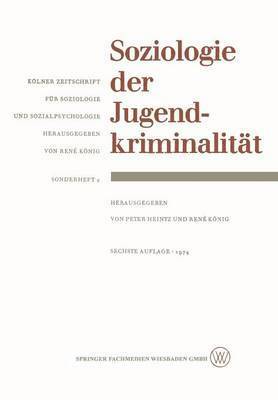 bokomslag Soziologie der Jugendkriminalität
