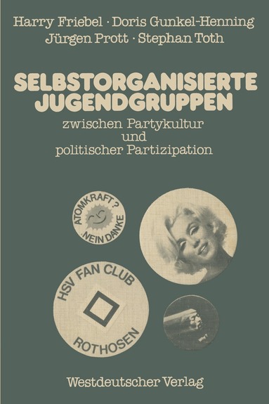 Harry Friebel - Selbstorganisierte Jugendgruppen zwischen Partykultur und politischer Partizipation, Häftad