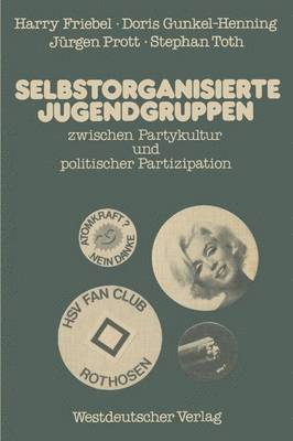 bokomslag Selbstorganisierte Jugendgruppen zwischen Partykultur und politischer Partizipation