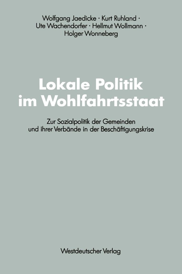 Wolfgang Jaedicke - Lokale Politik im Wohlfahrtsstaat, Häftad