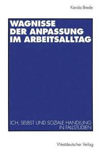 bokomslag Wagnisse der Anpassung im Arbeitsalltag