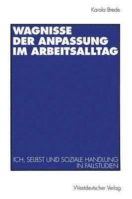 bokomslag Wagnisse der Anpassung im Arbeitsalltag