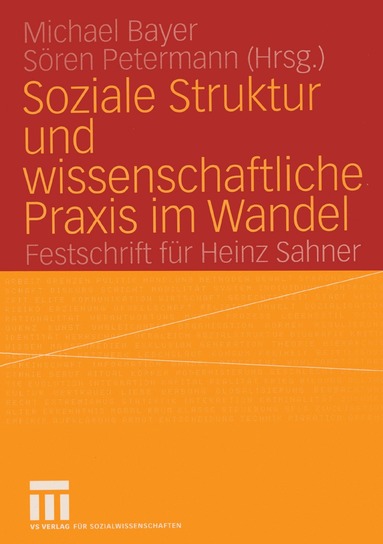 Michael Bayer, Sören Petermann - Soziale Struktur und wissenschaftliche Praxis im Wandel, Häftad