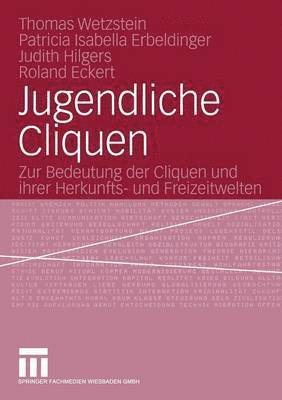 Thomas Wetzstein, Patricia Isabella Erbeldinger, Judith Hilgers, Roland Eckert - Jugendliche Cliquen, Häftad