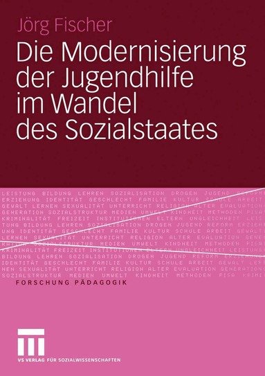 Jörg Fischer - Die Modernisierung der Jugendhilfe im Wandel des Sozialstaates, Häftad