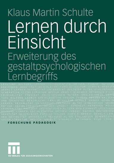Klaus Martin Schulte - Lernen durch Einsicht, Häftad