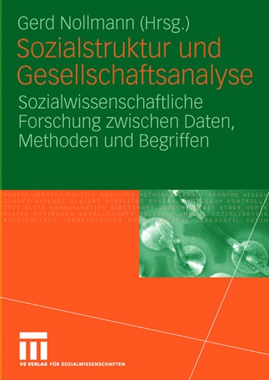 bokomslag Sozialstruktur und Gesellschaftsanalyse