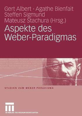 bokomslag Aspekte des Weber-Paradigmas