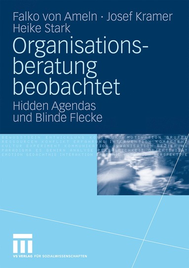 bokomslag Organisationsberatung beobachtet