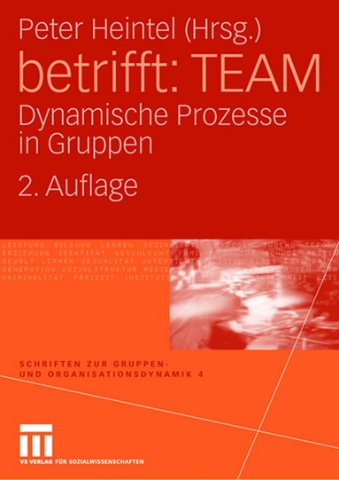 Peter Schartner, Peter Heintel - betrifft: TEAM, Häftad