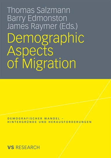 Thomas Salzmann, Barry Edmonston, James Raymer - Demographic Aspects of Migration, Häftad