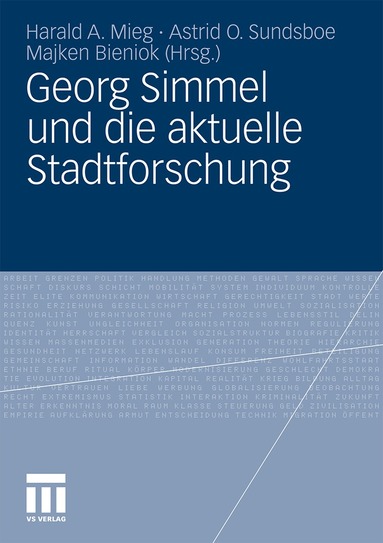 Harald A. Mieg, Astrid O. Sundsboe, Majken Bieniok - Georg Simmel und die aktuelle Stadtforschung, Häftad