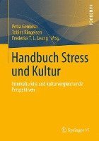 bokomslag Handbuch Stress Und Kultur