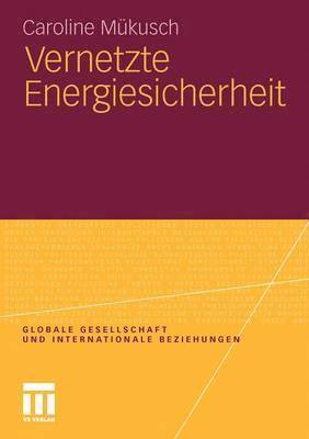 bokomslag Vernetzte Energiesicherheit