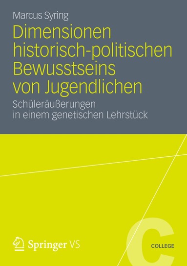 Marcus Syring - Dimensionen historisch-politischen Bewusstseins von Jugendlichen, Häftad