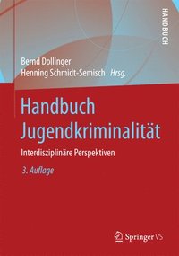 bokomslag Handbuch Jugendkriminalitt