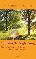 bokomslag Spirituelle Begleitung