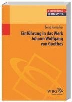 bokomslag Einführung in das Werk Johann Wolfgang von Goethes