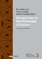 Elio Antonucci, Thiemo Breyer, Marco Cavallaro - Perspectives on the Philosophy of Culture, Inbunden