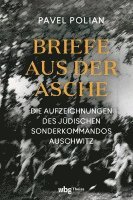 bokomslag Briefe Aus Der Asche: Die Aufzeichnungen Des Judischen Sonderkommandos Auschwitz