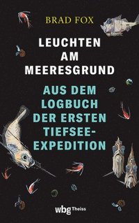 bokomslag Leuchten am Meeresgrund