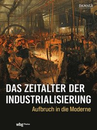 bokomslag Das Zeitalter der Industrialisierung