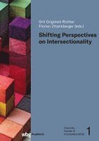 bokomslag Shifting Perspectives on Intersectionality