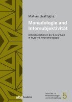 bokomslag Monadologie Und Intersubjektivitat: Drei Konzeptionen Der Einfuhlung in Husserls Phanomenologie