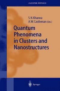 bokomslag Quantum Phenomena in Clusters and Nanostructures