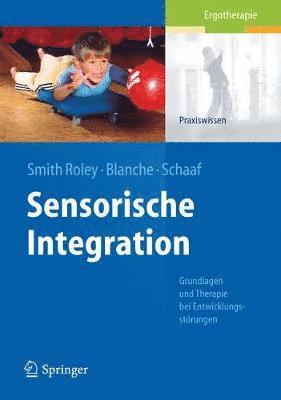 bokomslag Sensorische Integration