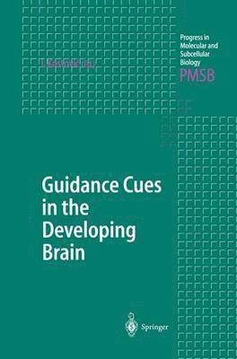 bokomslag Guidance Cues in the Developing Brain