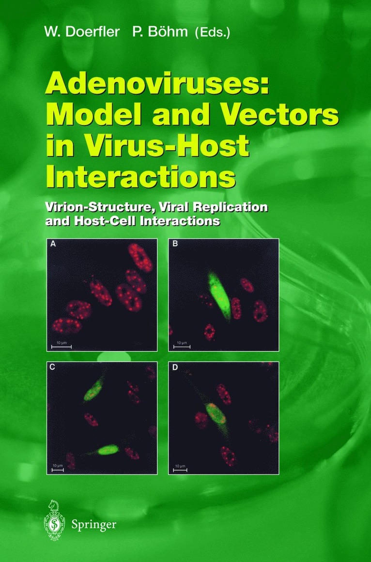 Walter Doerfler, Petra Böhm - Adenoviruses: Model and Vectors in Virus-Host Interactions, Inbunden