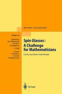 bokomslag Spin Glasses: A Challenge for Mathematicians