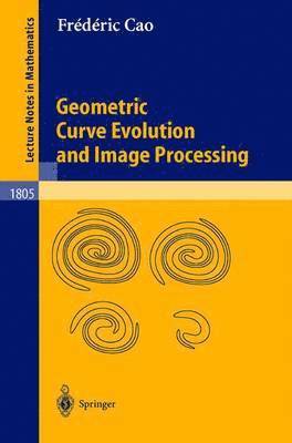 bokomslag Geometric Curve Evolution and Image Processing
