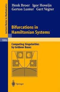 bokomslag Bifurcations in Hamiltonian Systems