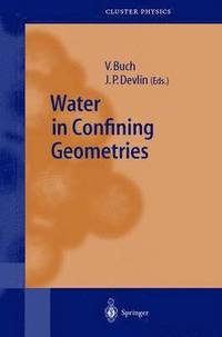 bokomslag Water in Confining Geometries