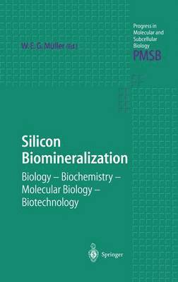 bokomslag Silicon Biomineralization