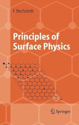 Principles of Surface Physics 1