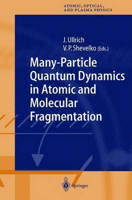 bokomslag Many-Particle Quantum Dynamics in Atomic and Molecular Fragmentation