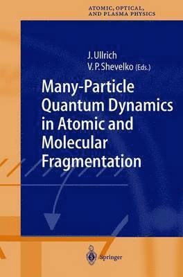 Many-Particle Quantum Dynamics in Atomic and Molecular Fragmentation 1