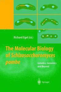 bokomslag The Molecular Biology of Schizosaccharomyces pombe