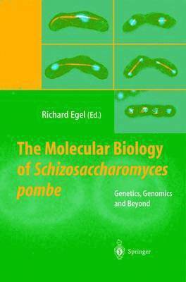 The Molecular Biology of Schizosaccharomyces pombe 1